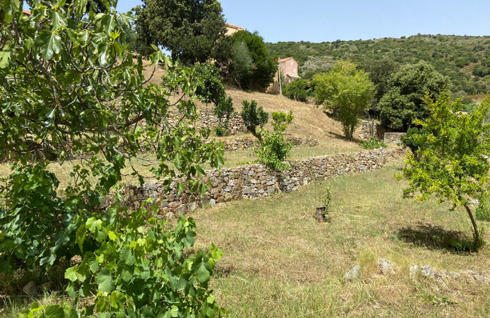 CORSE (20) commune d'ALATA : A vendre magnifique terrain à bâtir, viabilisé — photo 4
