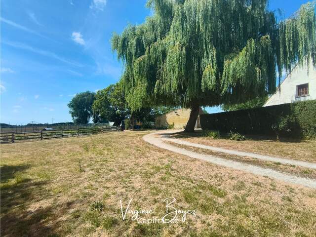 Exclusivité - Maison de 190 m² – 4 chambres – Terrain clos de 7 500 m² – Beau potentiel - Proche commodités — photo du bien