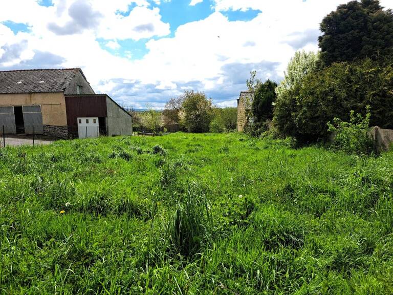 Terrain — photo 1
