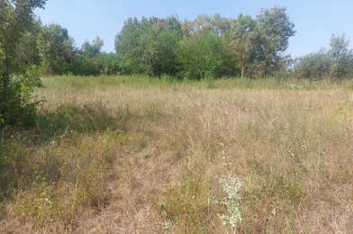 Terrain  142000 €