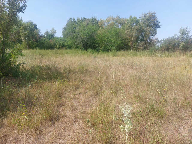 Beau terrain 940m2 — photo du bien