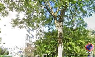 Appartement 3 Pièces 66 m² à louer à Rosny-sous-Bois (93110)