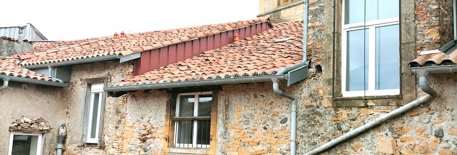 Immeuble  300 m² à vendre à Saint-Gaudens (31800)