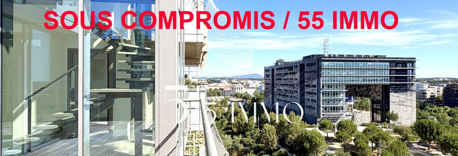 Appartement 4 Pièces 110 m² à vendre à Montpellier (34000)