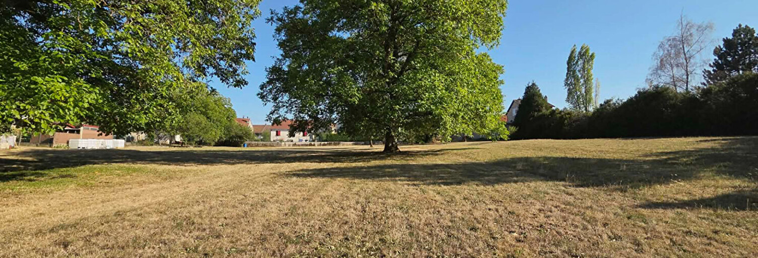 Terrain  3472 m² à vendre à Biesles (52340)