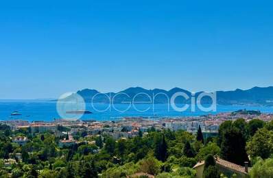 SUPER CANNES — photo du bien