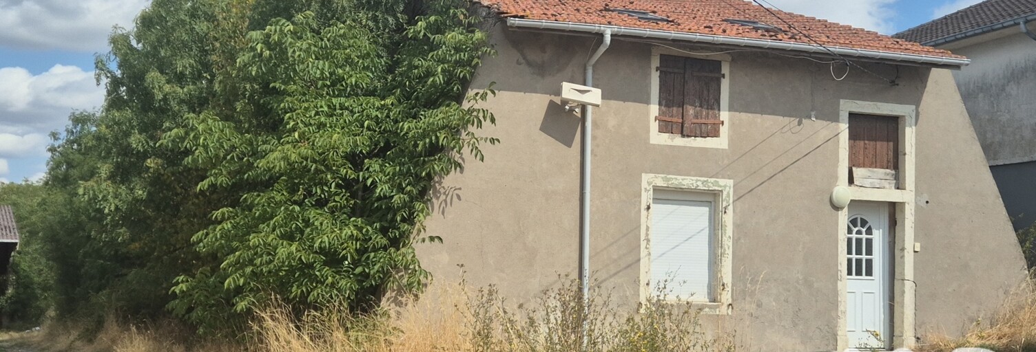 Photo N° 2
