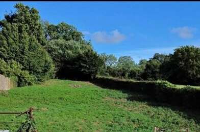 Terrain  42000 €