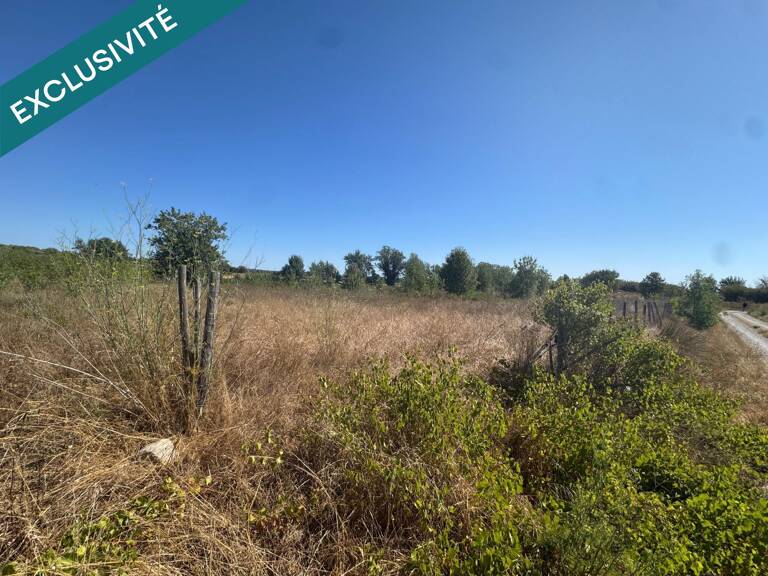 TERRAIN 3858 M2 CAMPAGNE 34160 — photo 1