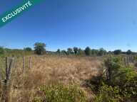 TERRAIN 3858 M2 CAMPAGNE 34160 — photo 3