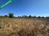 TERRAIN 3858 M2 CAMPAGNE 34160 — photo 4