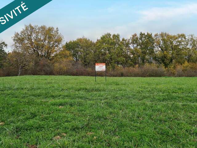 Terrain constructible plat - 1426 m² - Châtres — photo du bien