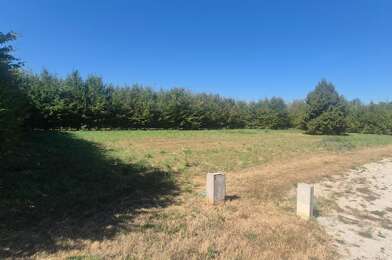 Terrain  36000 €
