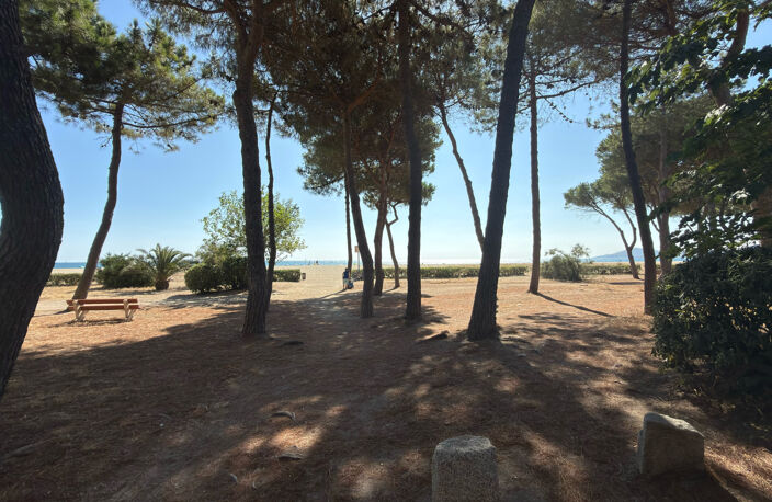 ARGELES SUR MER - STUDIO VUE MER — photo 5