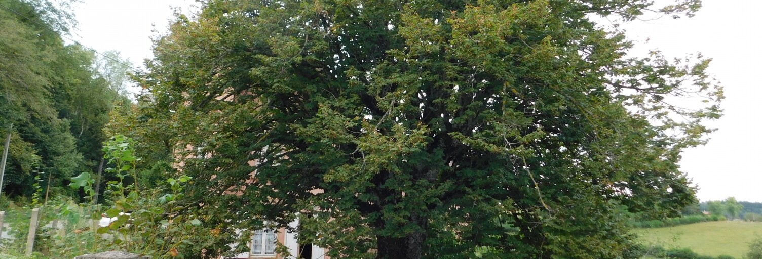 Maison 4 Pièces 116 m² à vendre à Sevelinges (42460)