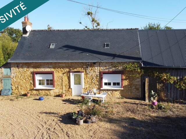 Maison avec grande dépendance en pierres sur 4 hectares - 72430 Chantenay- Villedieu — photo du bien