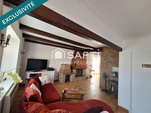 grande maison familiale — photo du bien