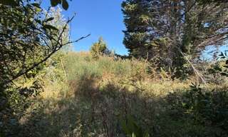 Terrain  637 m² à vendre à Barbâtre (85630)