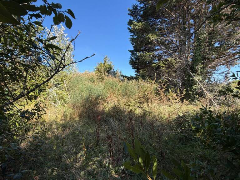 BARBATRE (85) - ILE DE NOIRMOUTIER - RARISSIME TERRAIN A BATIR 637 M² AVEC PERMIS DE CONSTRUIRE ACCORDE — photo 1