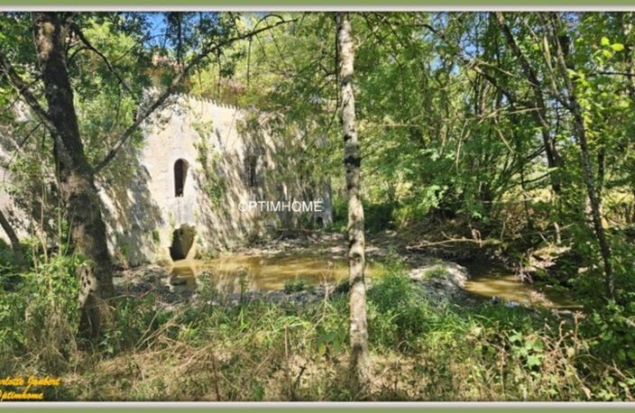 moulin à rénover avec dépendances et plus de 1,5 ha de terrain — photo 5