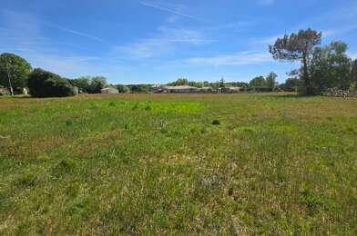 Terrain  77000 €