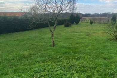 Terrain  45000 €