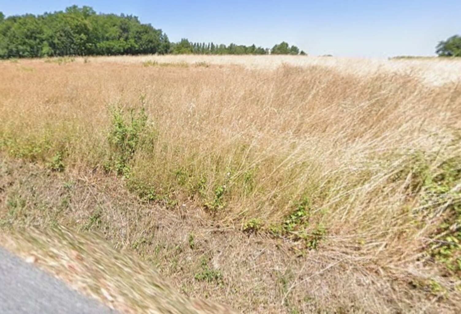 Terrain à bâtir à Laruscade (33620) — photo 1