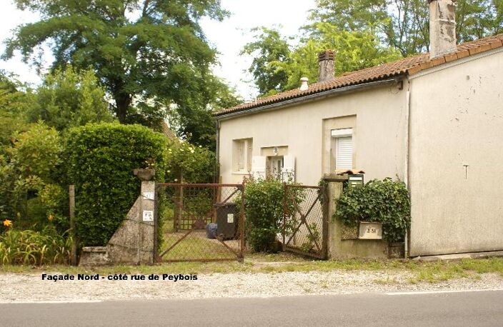 T2 — photo 3