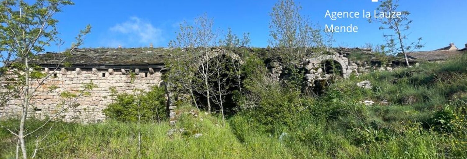 Terrain  700 m² à vendre à Saint-Étienne-du-Valdonnez (48000)