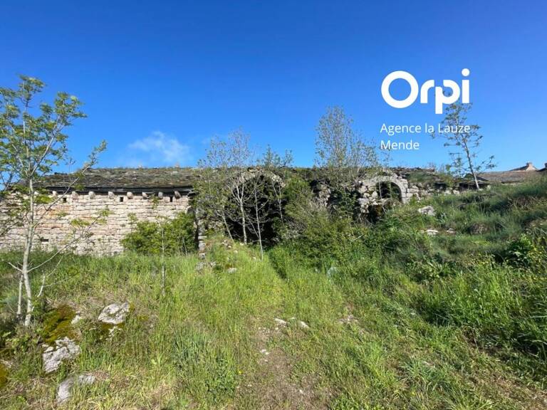 Terrain À Vendre — photo 1