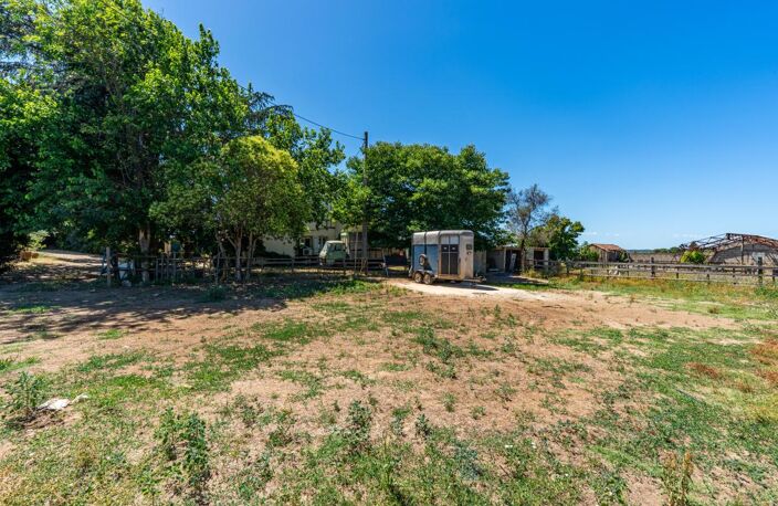 Mas avec terres à Vendre — photo 4
