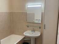 Appartement de 46m2 à louer sur Lyon 08 — photo 4