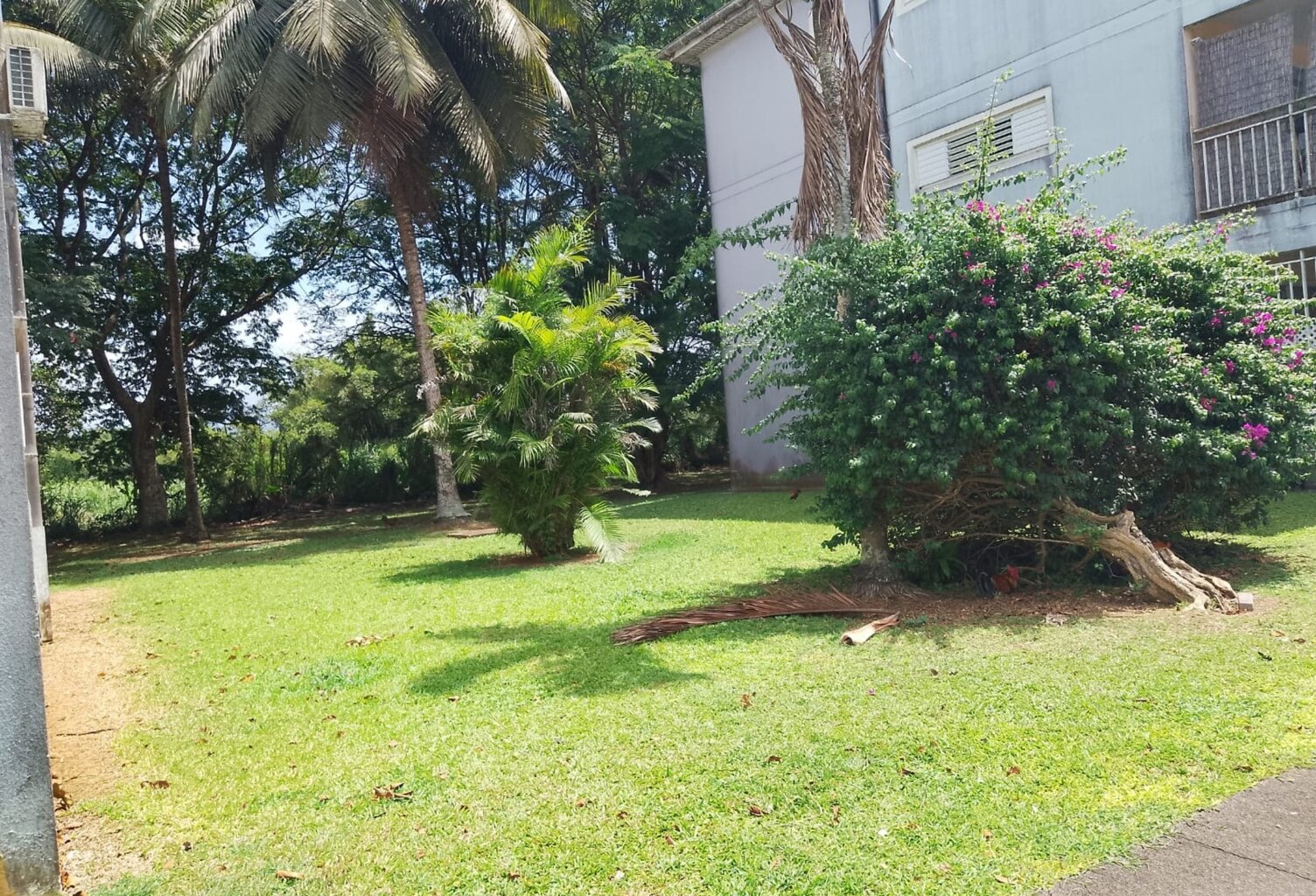 À VENDRE – Appartement T3 en rez-de-chaussée à Bois Rada, Sainte-Rose — photo 1