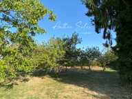 Ancien corps de ferme du XVIIIᵉ – 130 m², dépendances et plus de 4 000 m² de terrain — photo 4