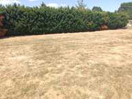 Terrain à bâtir entièrement plat de plus de 800 m2 avec une façade de 24 m — photo 4