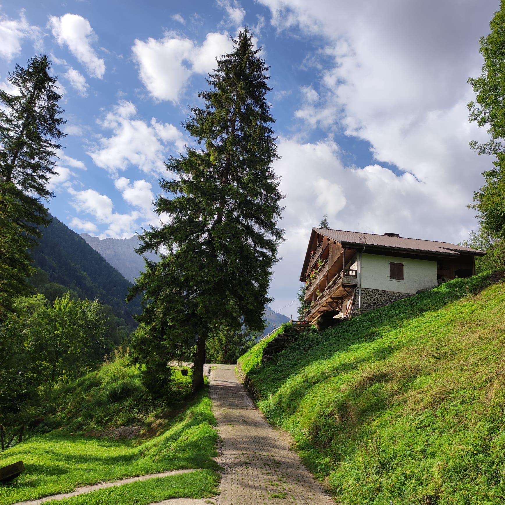 Joli domaine au pied des Aravis