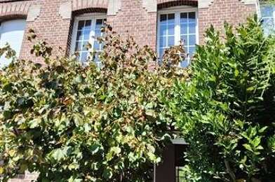 Maison  169000 €