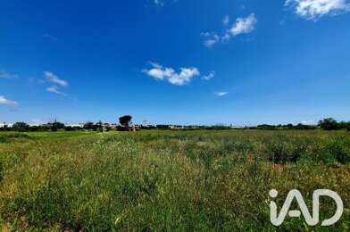 Terrain  110500 €