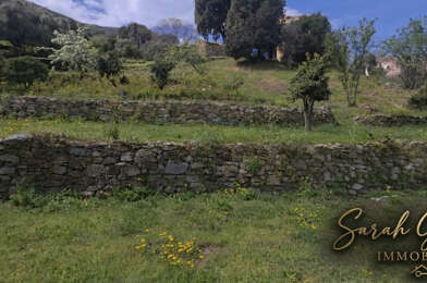 Terrain  210000 €