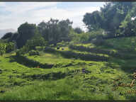 Terrain — photo 2