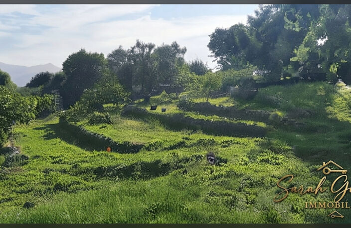 Terrain — photo 2