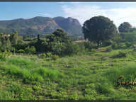 Terrain — photo 3