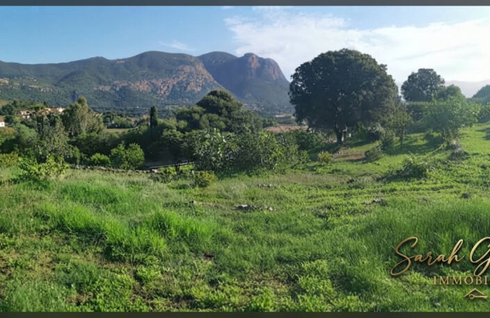 Terrain — photo 3