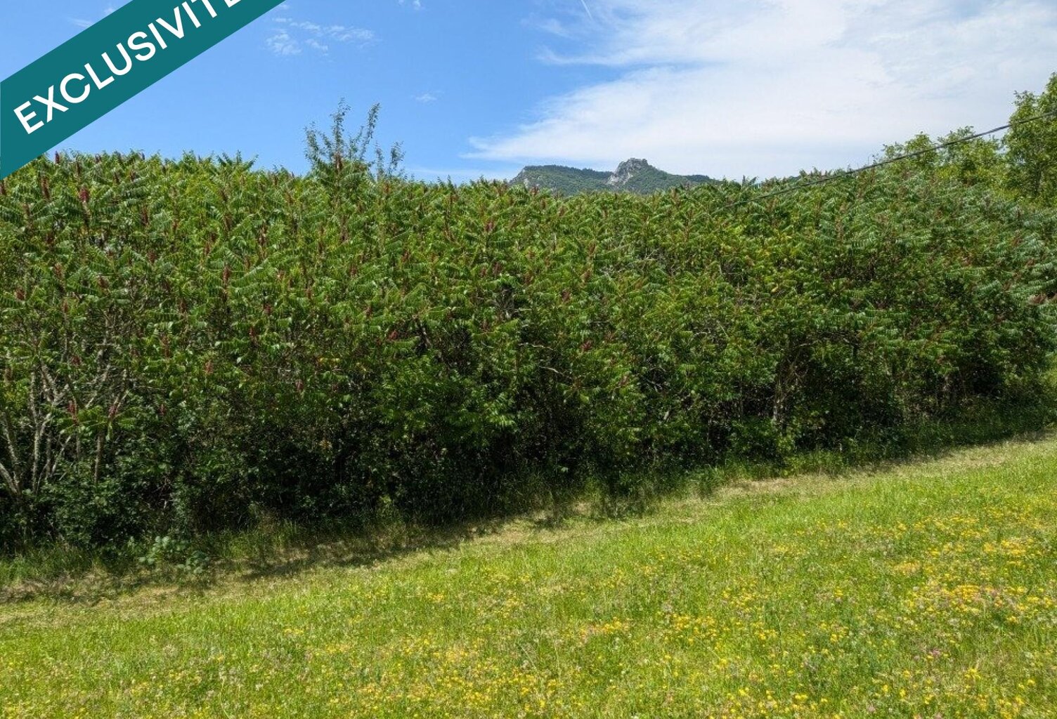 terrain constructible  916 m² sur les hauteurs de SALINS LES BAINS ( JURA) — photo 1