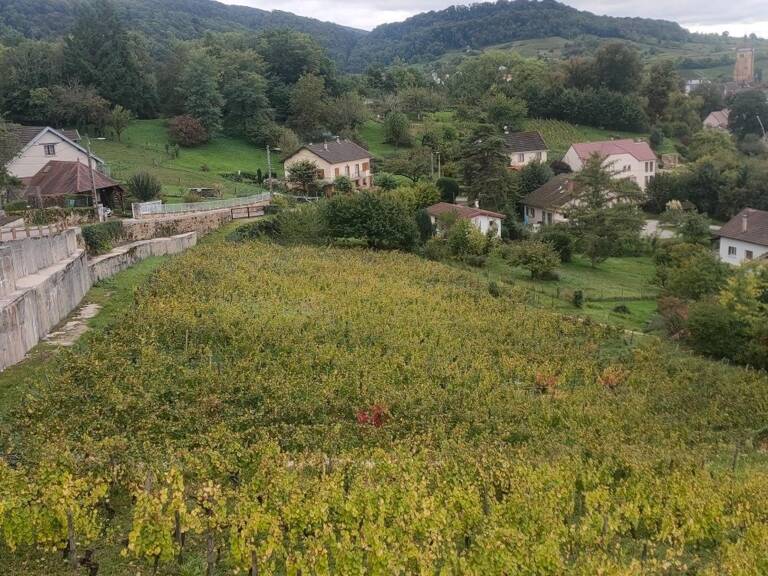 Joli terrain de 3014 m2 constructible à ARBOIS (JURA ) à 2 min  du centre — photo 1