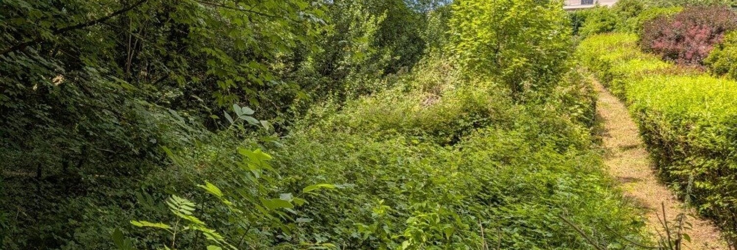 Terrain  926 m² à vendre à Salins-les-Bains (39110)