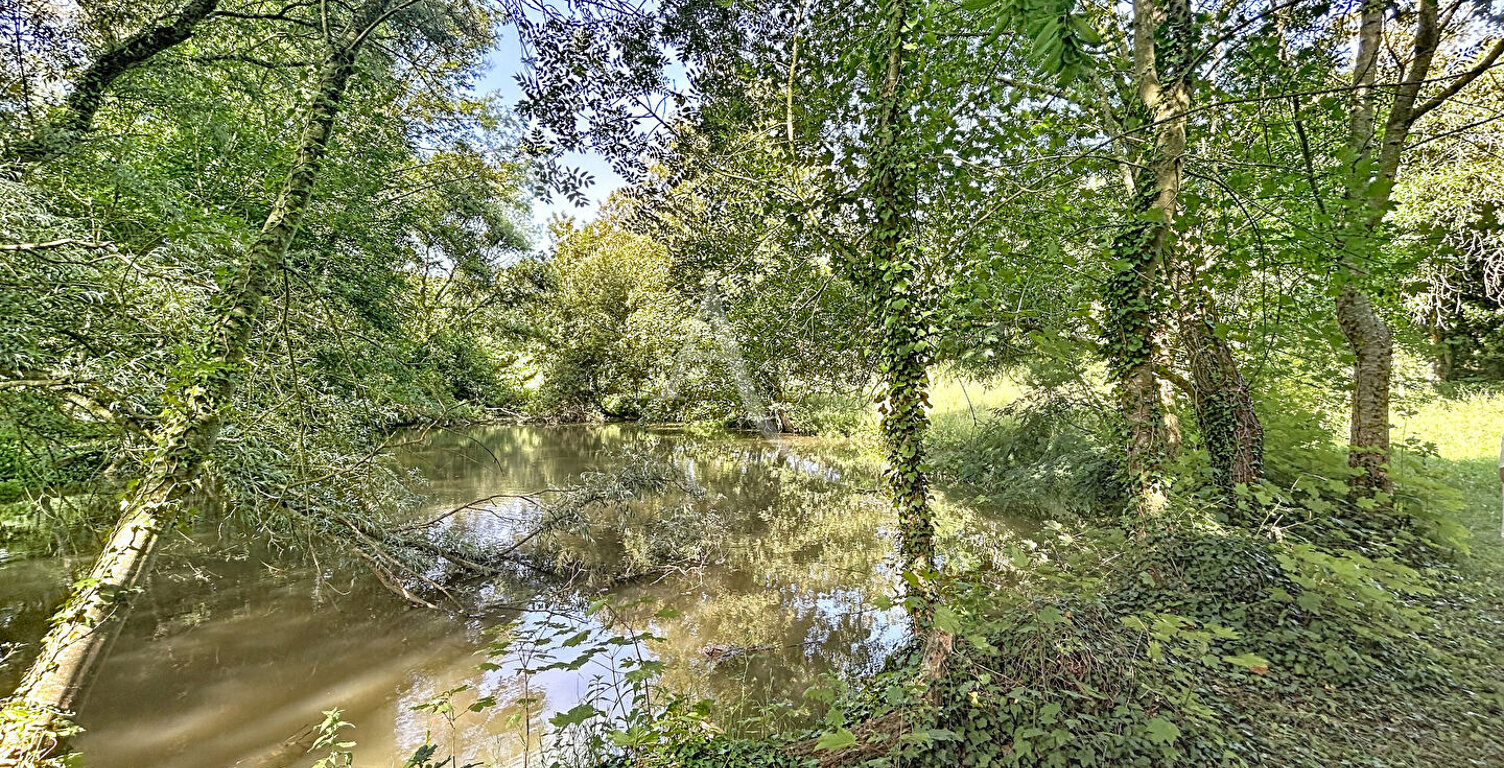 Terrain Loigne Sur Mayenne 23946 m2 — photo 1