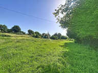 Terrain Loigne Sur Mayenne 23946 m2 — photo 3