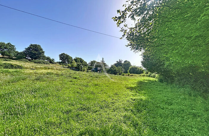 Terrain Loigne Sur Mayenne 23946 m2 — photo 3