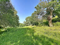 Terrain Loigne Sur Mayenne 23946 m2 — photo 4